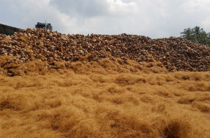 Coconut Husk Stock Yard