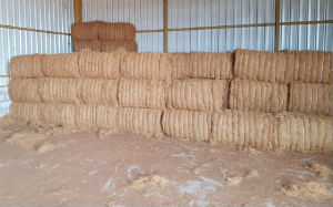 Fiber Bales Stock