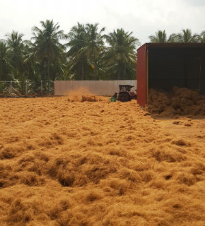 Fiber Drying Concrete Yard